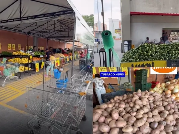 Mercados campesinos en Cali: productos frescos, precios justos y apoyo directo al campesino