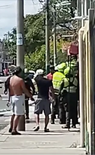 en los naranjos