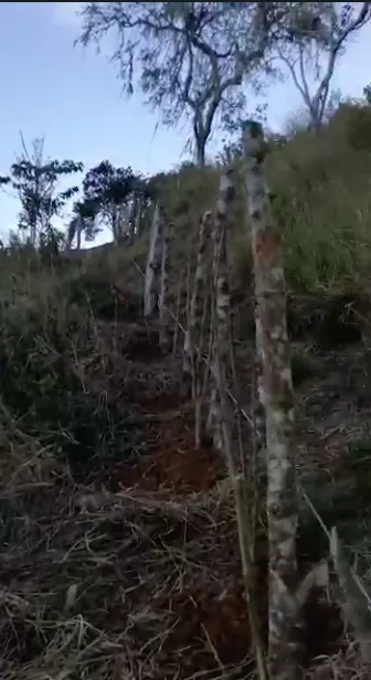 en dagua