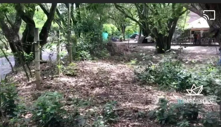 animales -centro de Bienestar Animal Cali