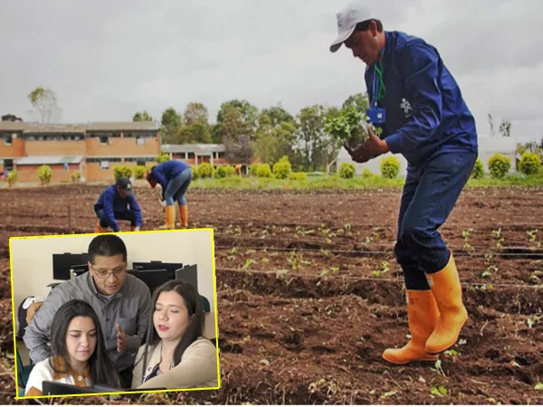 Aprendices en Nariño crearon aplicación para administrar recursos contables de campesinos