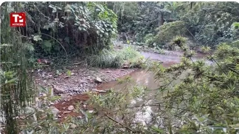 Nadie ha recogido el cuerpo de un caballo en el río Cañaveralejo, en Cali