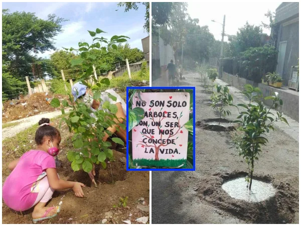 En Santa Marta, comunidad se unió para darle vida a las calles con la siembra de arboles