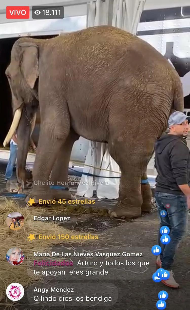 Big Boy circo México