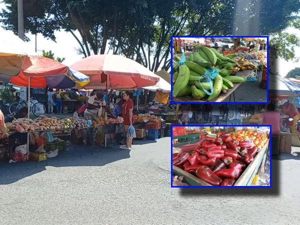 "Mercado Móvil" en Cali, llevando productos "frescos y de buena calidad" a los barrios de la ciudad