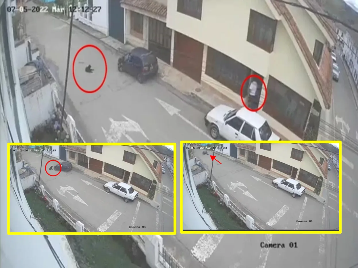 Le pasó el carro por encima y arrastró al perro por la calle; lo había visto pero no le importó, en Cundinamarca