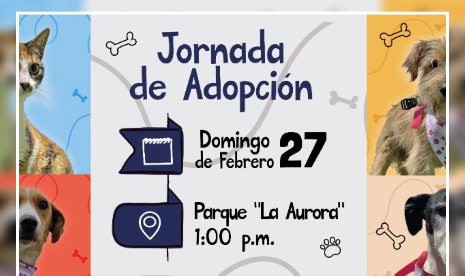Primera Jornada de adopción de perros y gatos, este 27 de febrero