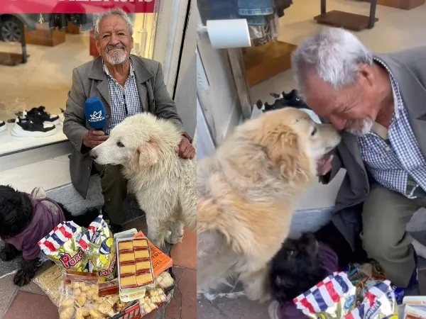 Don Segundo, el vendedor que da todo por sus tres perros rescatados de la calle en Pasto,"Les hago sopa, como yo, y les doy a ellos
