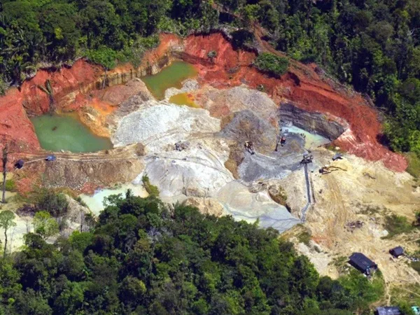 Por minería ilegal en Barbacoas y Magüí talaron miles de árboles y se tardará 30 años en recuperación