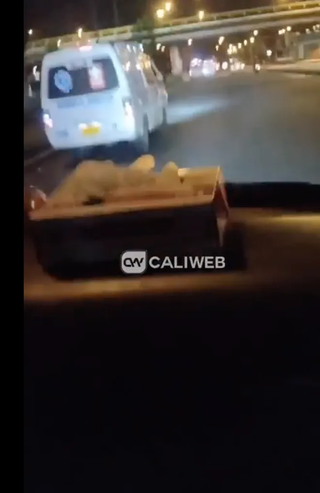 Música, botella de ron y conduciendo una ambulancia: vídeo de paramédicos que se vitalizado en Cali