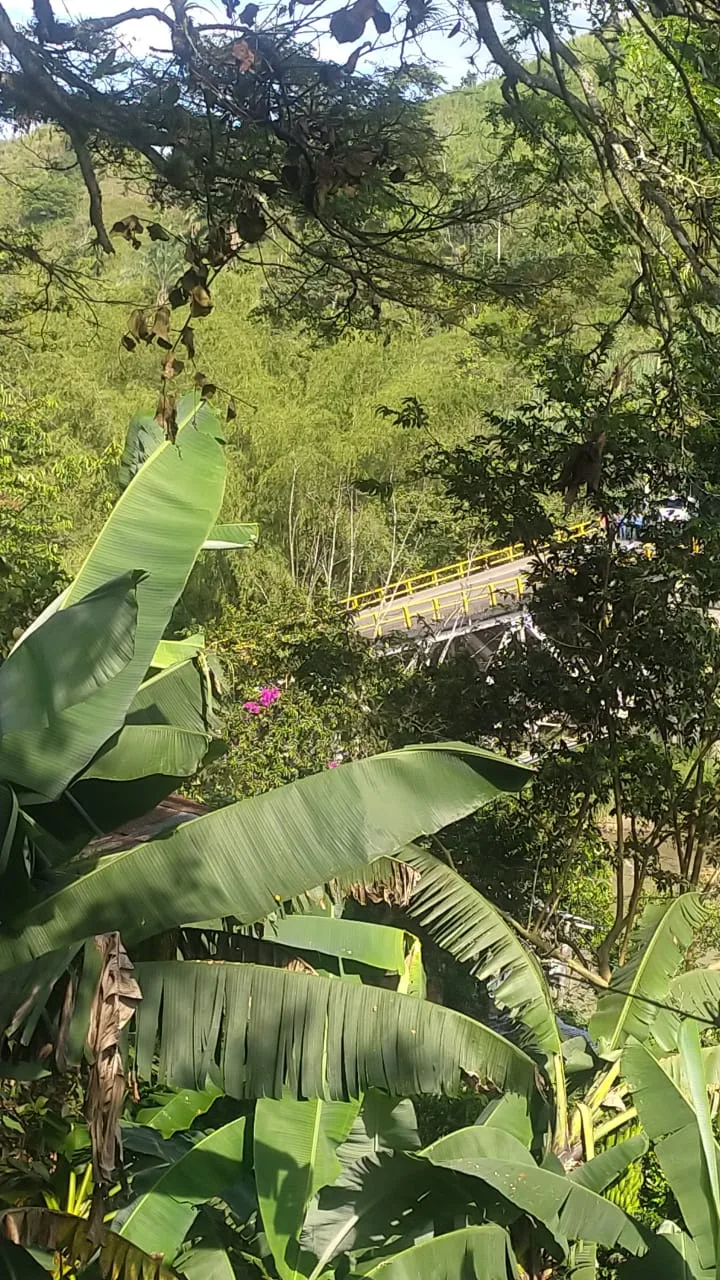 puente en el Río La Vieja