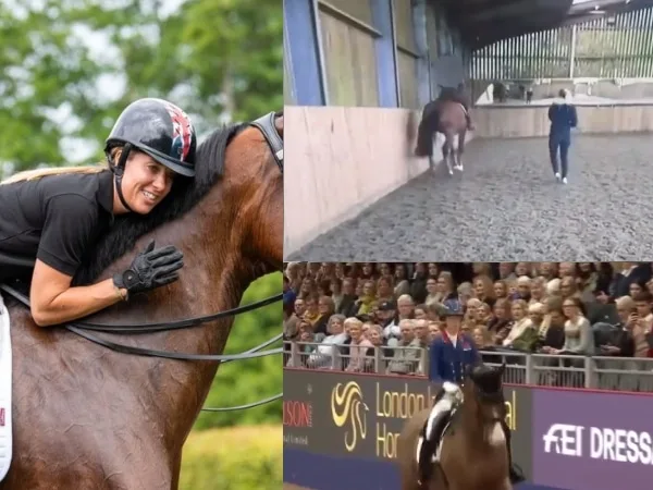 Un video por maltrato animal dejó por fuera de los Olímpicos a la jinete británica Charlotte Dujardin