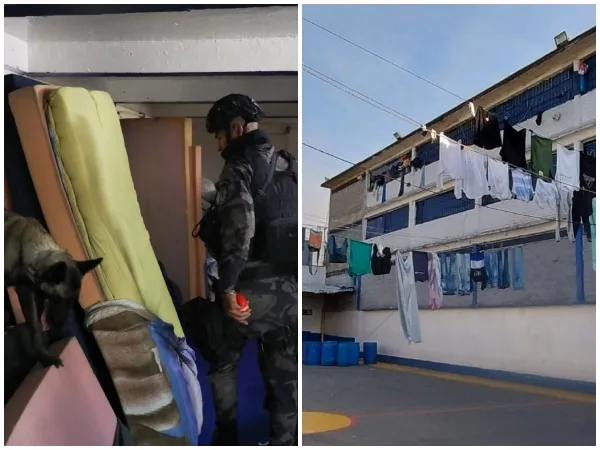 Ordenan traslado urgente de detenidos en estaciones de Policía de Cali tras tutela de la Personería Distrital