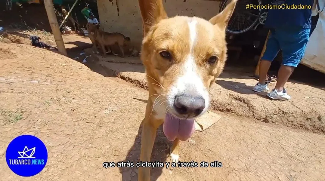 "Buscamos otro lugar donde podamos estar tranquilos",