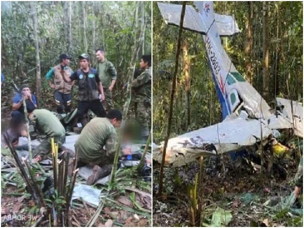 «Ingenio en la adversidad»: los elementos clave que garantizaron la supervivencia de los niños perdidos en la selva