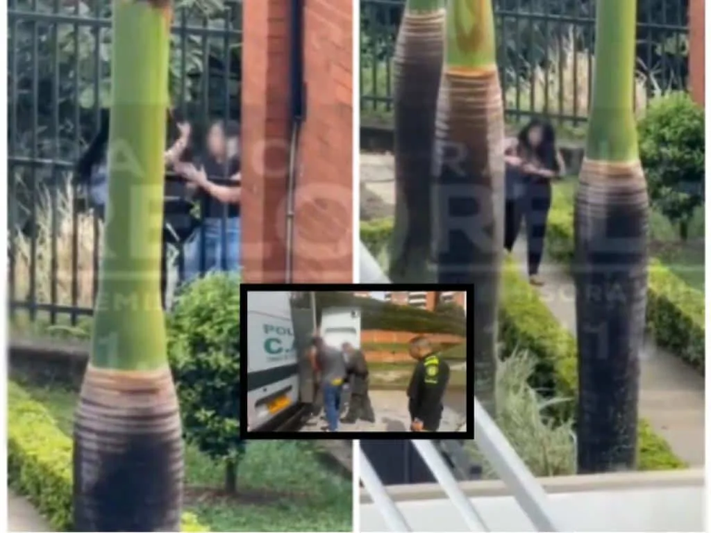 Una mujer se "voló, otros cinco capturados: Así fue el tiroteo por robo en Los Cristales, en Cali
