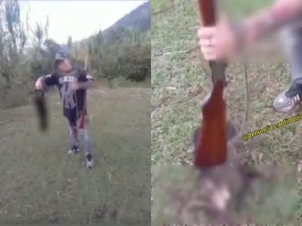Celebraban porque mataban al guatín, le dieron con la 'cacha' de la escopeta, arrastraron y publicaron en redes