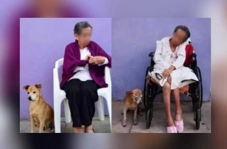 Cachorro Mazatlán perro historia de amor