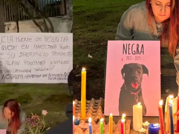 "Por siempre, Negrita": el mensaje de despedida para 'Negrita', la perrita que murió al impedir la fuga de ladrones en Bogotá