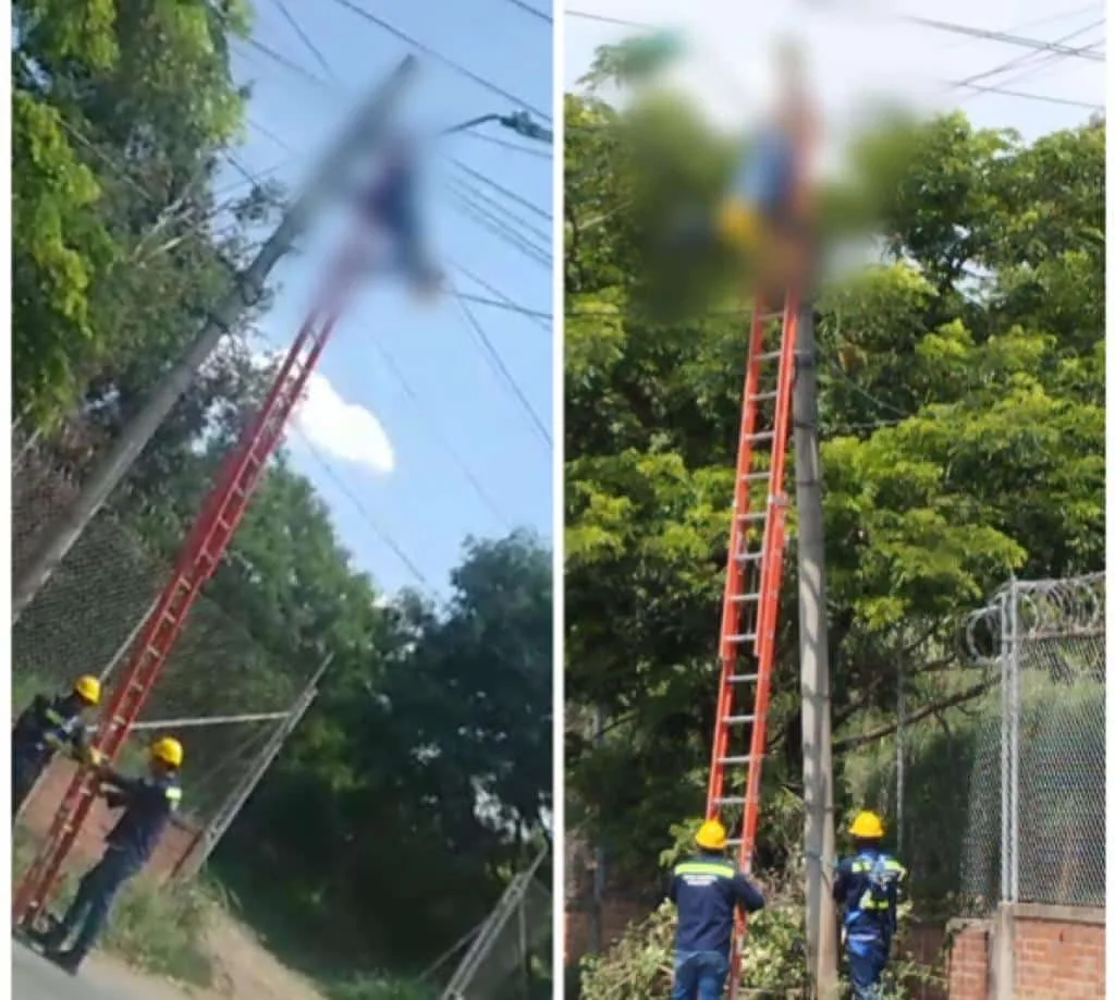 Sufrió descarga eléctrica cuando estaba haciendo poda de árboles, falleció en el sitio: en Cali