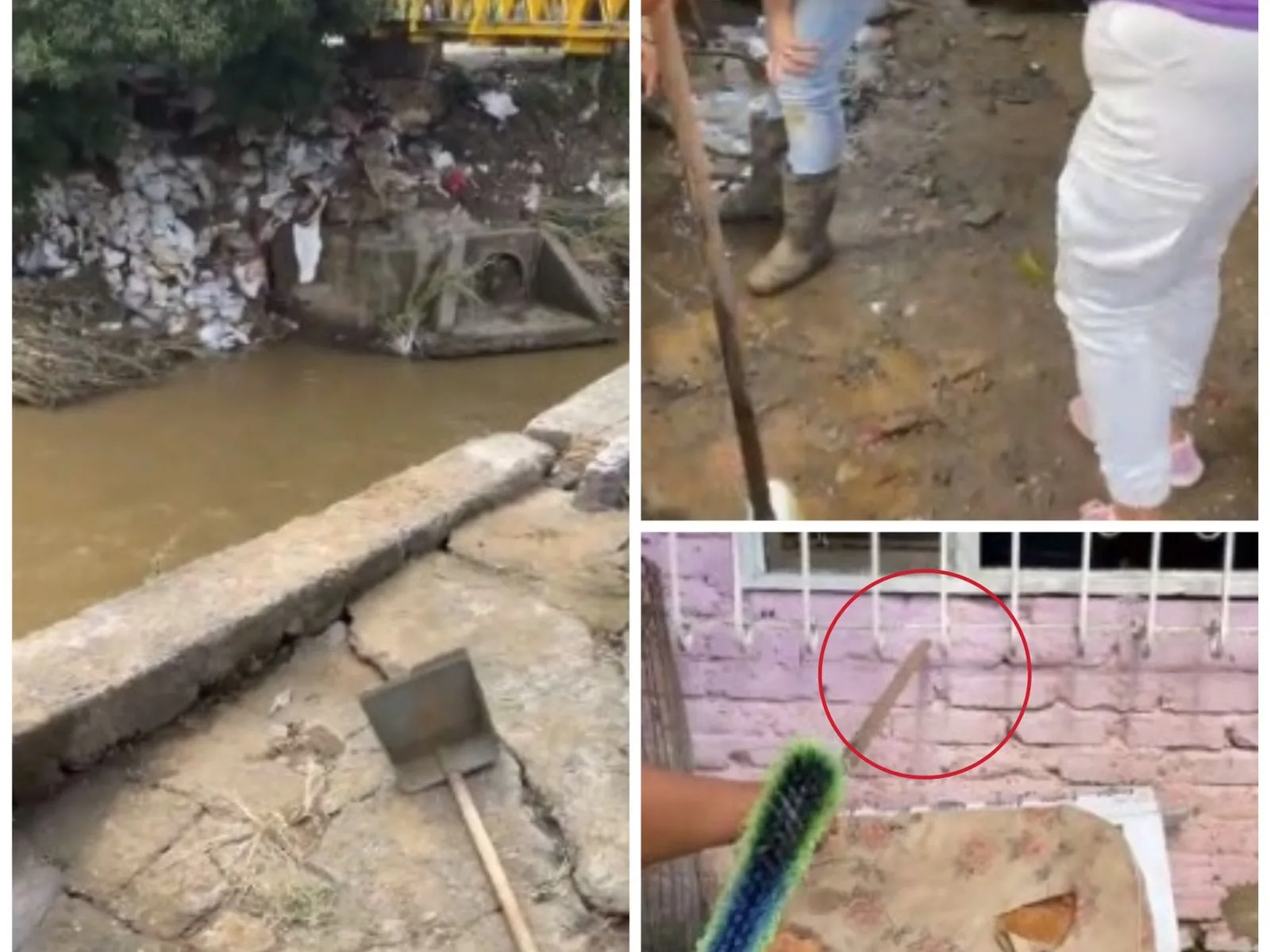 barrio La Isla norte de Cali