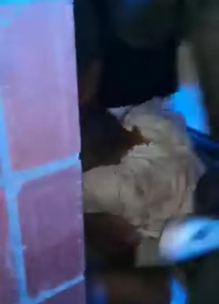 Palmira presunto acosador