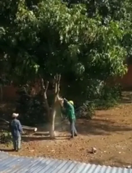 Comunidad de la Alameda del Rio lleva varios años denunciando la invasión de un predio