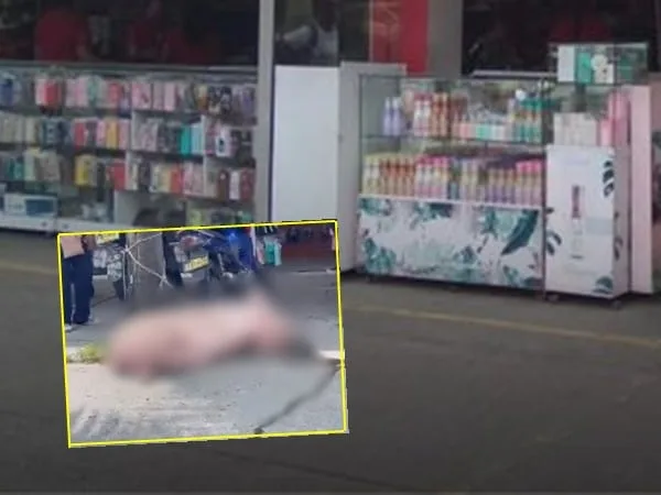 “Se había caído de un camión”, un cerdo amarrado afuera de un supermercado en Cali causó indignación