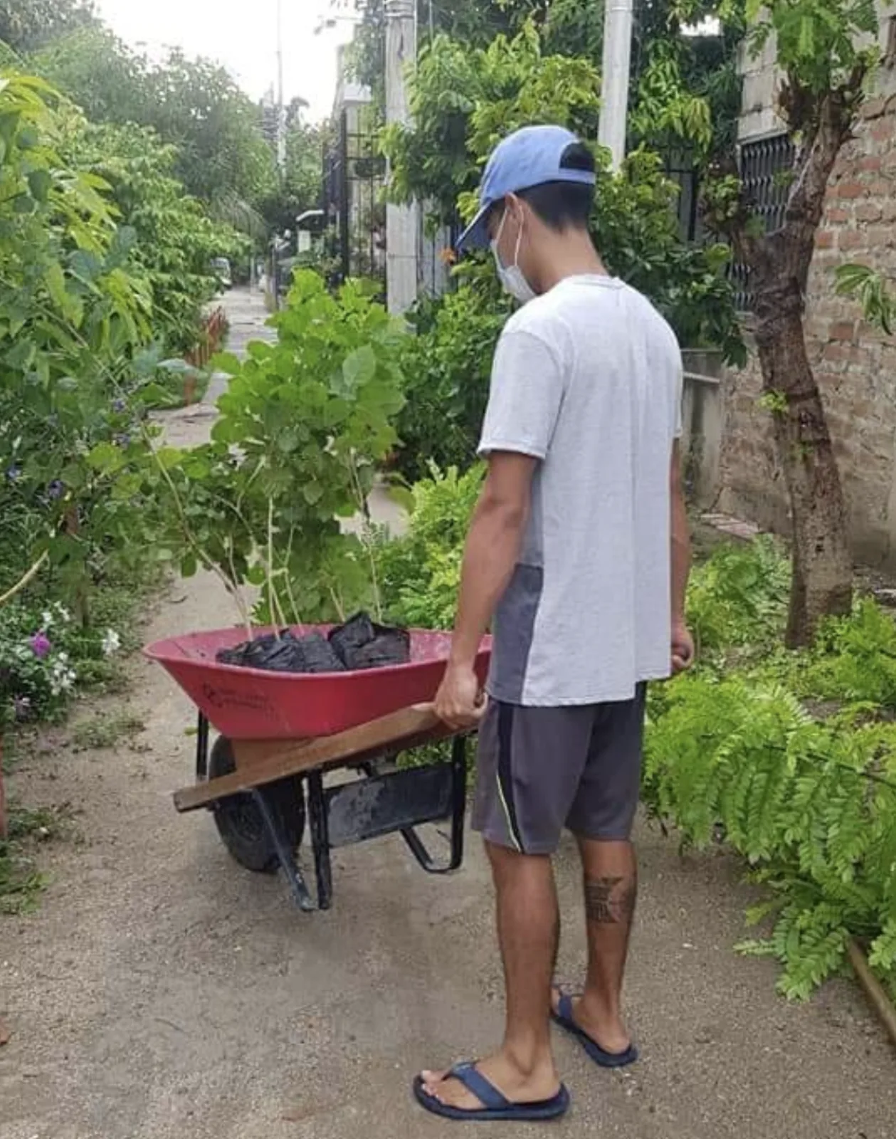 En Santa Marta, comunidad se unió para darle vida a las calles con la siembra de arboles