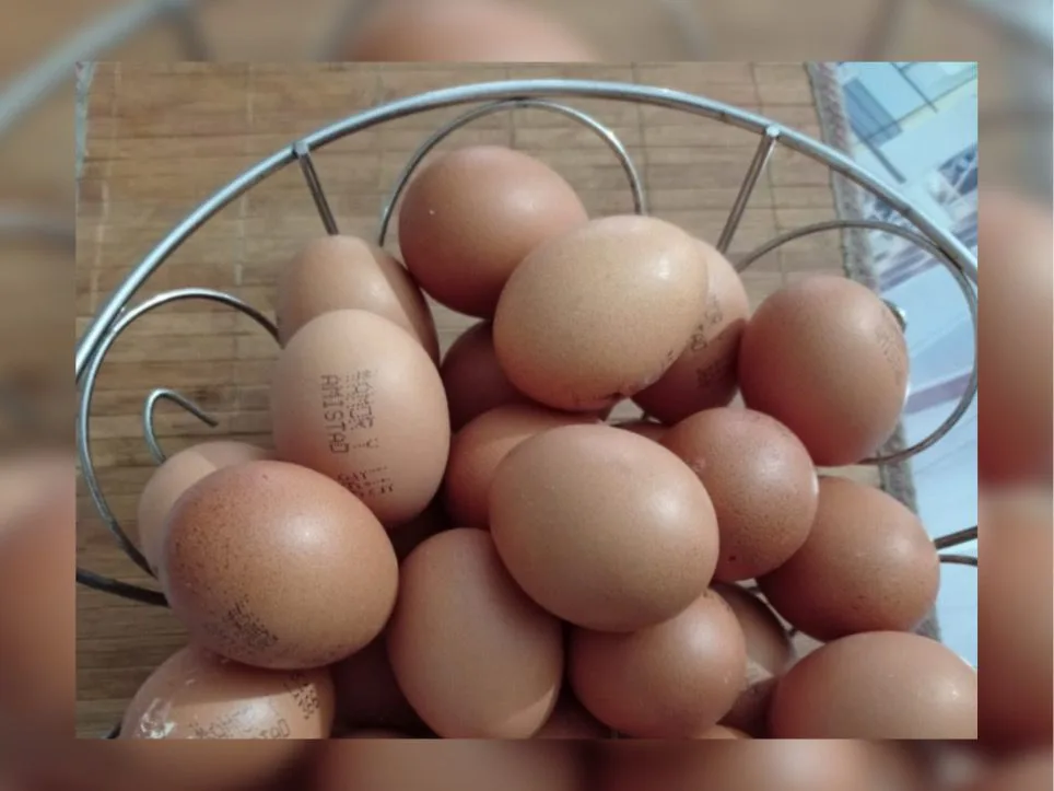 ¡Ni esperanza de rebaja! precio de huevos en Colombia se va a incrementar más