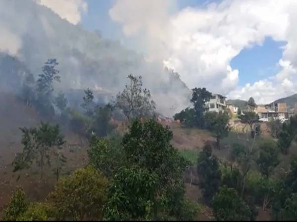 Voraz incendio a esta hora en el municipio de El Tambo, preocupa afectaciones en cultivos