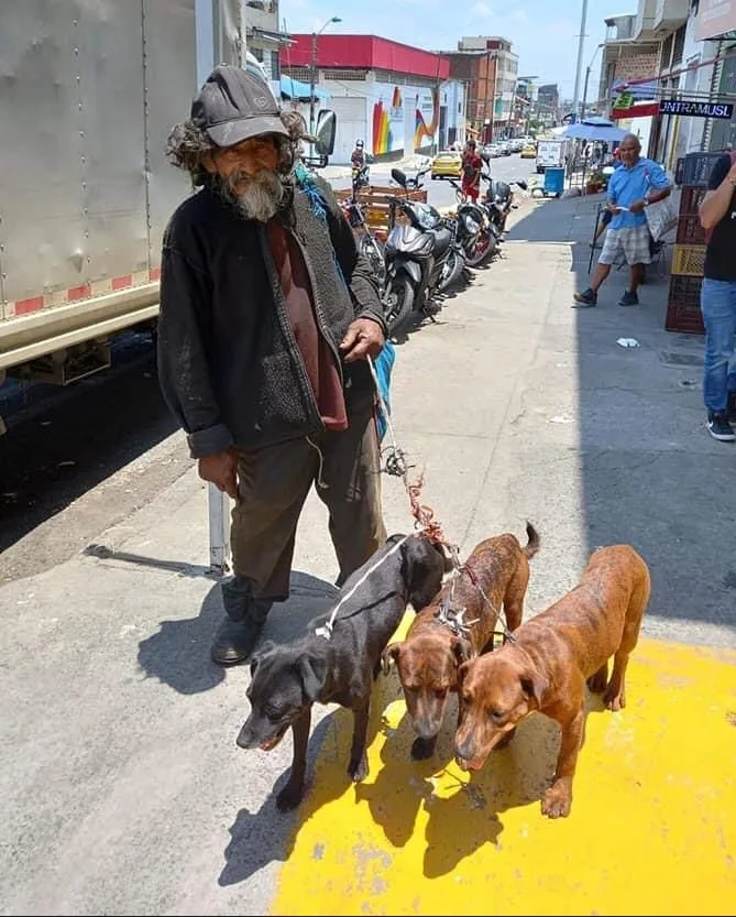 don Marco y sus perros