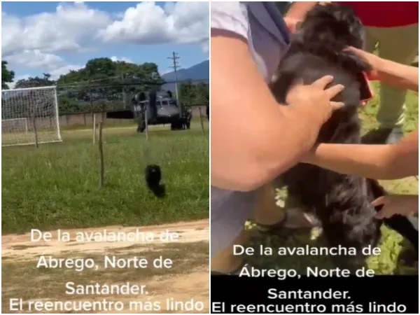 "El reencuentro más lindo", al perro también lo rescataron de la avalancha en Ábrego