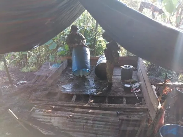Sigue ofensiva al Eln: en El Peñol, Ricaurte y Buesaco destruyeron laboratorios y un semillero con 15 mil matas de coca