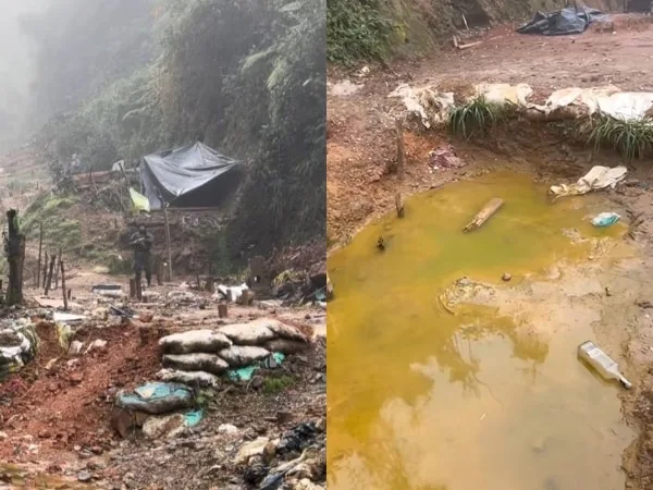 La mina 'Patequeso': el complejo minero ilegal que devastó media hectárea de el Parque Nacional Farallones de Cali