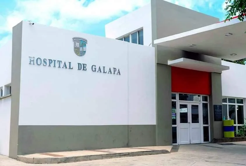Galapa bebé