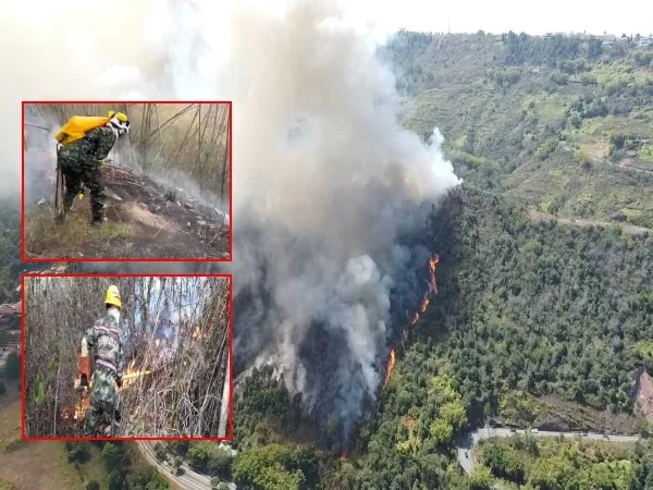 Incendio forestal en Piedecuesta: 300 hectáreas de desolación