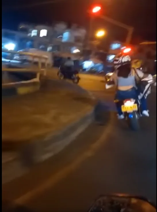 un perro