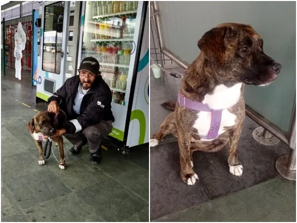 «Un final feliz»: perrita abandonada en Transmilenio es adoptada por operador en Bogotá