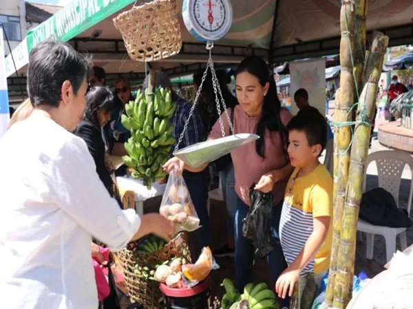 ¡Impulsaron al agro! mercado campesino en Pasto reportó ventas por más de $170 millones