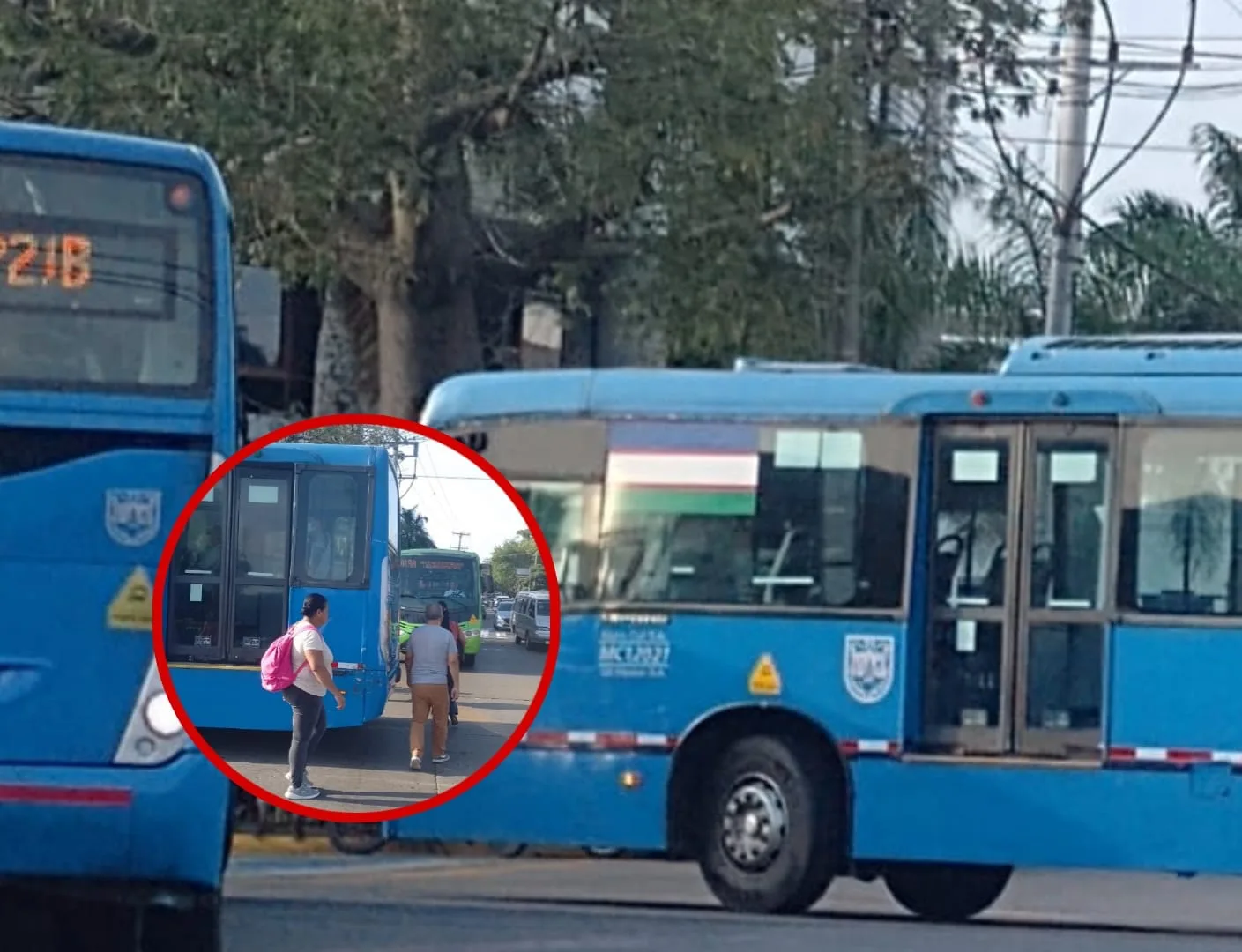 ¿Quién los regula?: buses del MIO sobre las cebras y mal ubicados el dolor de 'muela' que padecen a diario peatones en la calle 100 de Cali