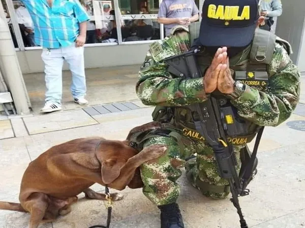 ¡Conmovedor! Perrito del Gaula se arrodilló junto a su a dueño para orar con él