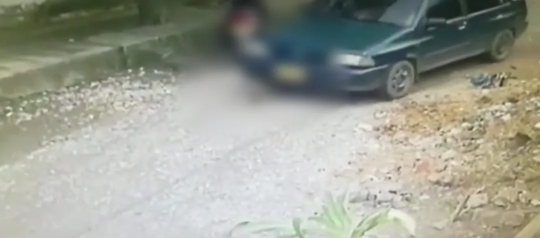 Montería atropelló el perro
