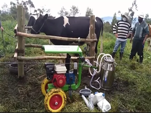 Con apoyo de la Udenar reactivarán el Comité Lácteo del sur de Nariño y Putumayo