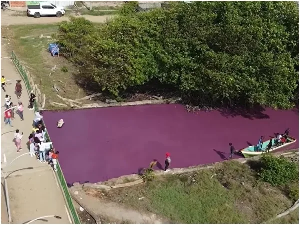 «Un lugar insuperable»: Descubre el misterioso río rosado de Colombia