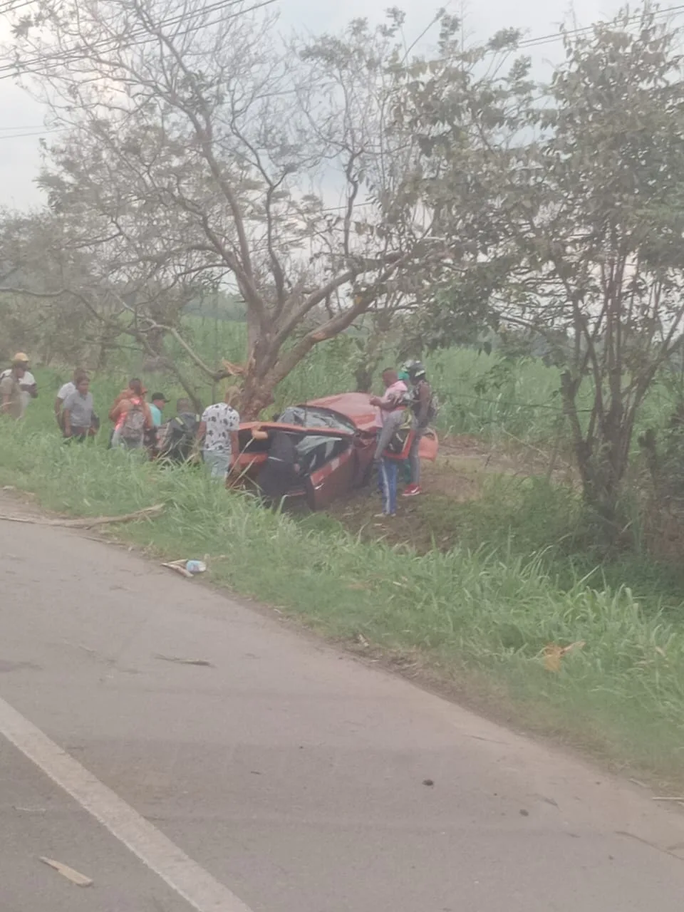 choque contra un árbol
