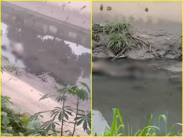 El cuerpo sin vida se encontraba sobre el canal de aguas residuales, se trata de un sujeto de aproximadamente 45 años de edad.