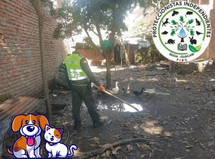 en guacarí