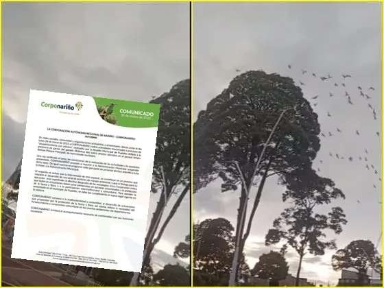 Ante polémica Corponariño ordenó la suspensión de uso de pólvora para ahuyentar garzas