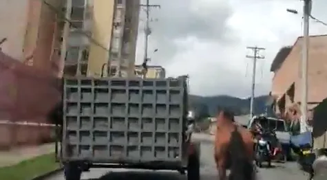 de un caballo